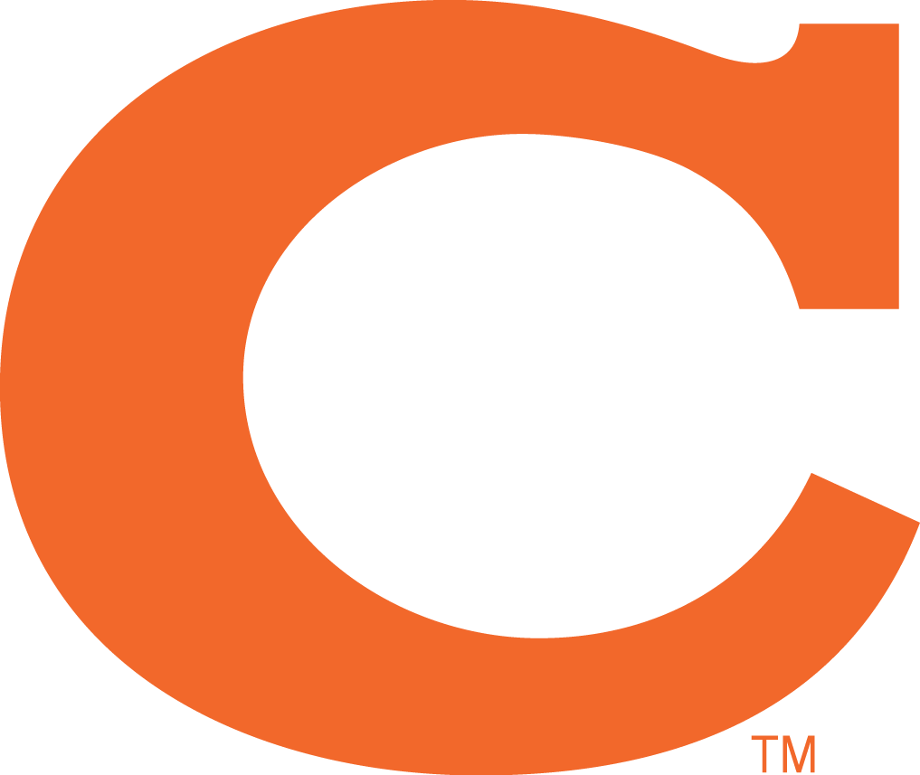 Clemson Tigers 1965-1969 Alternate Logo v5 diy iron on heat transfer